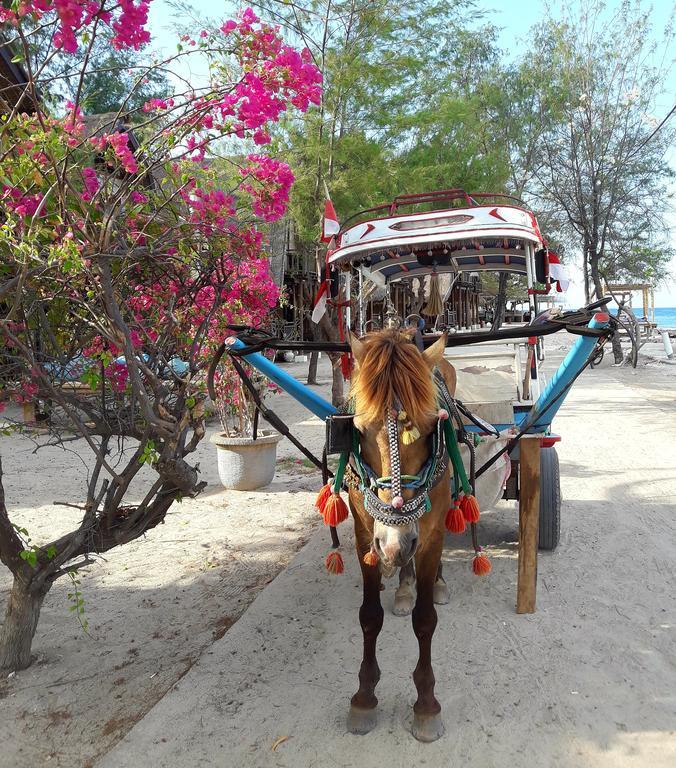 Kai'S Beach House Villa Gili Air Extérieur photo